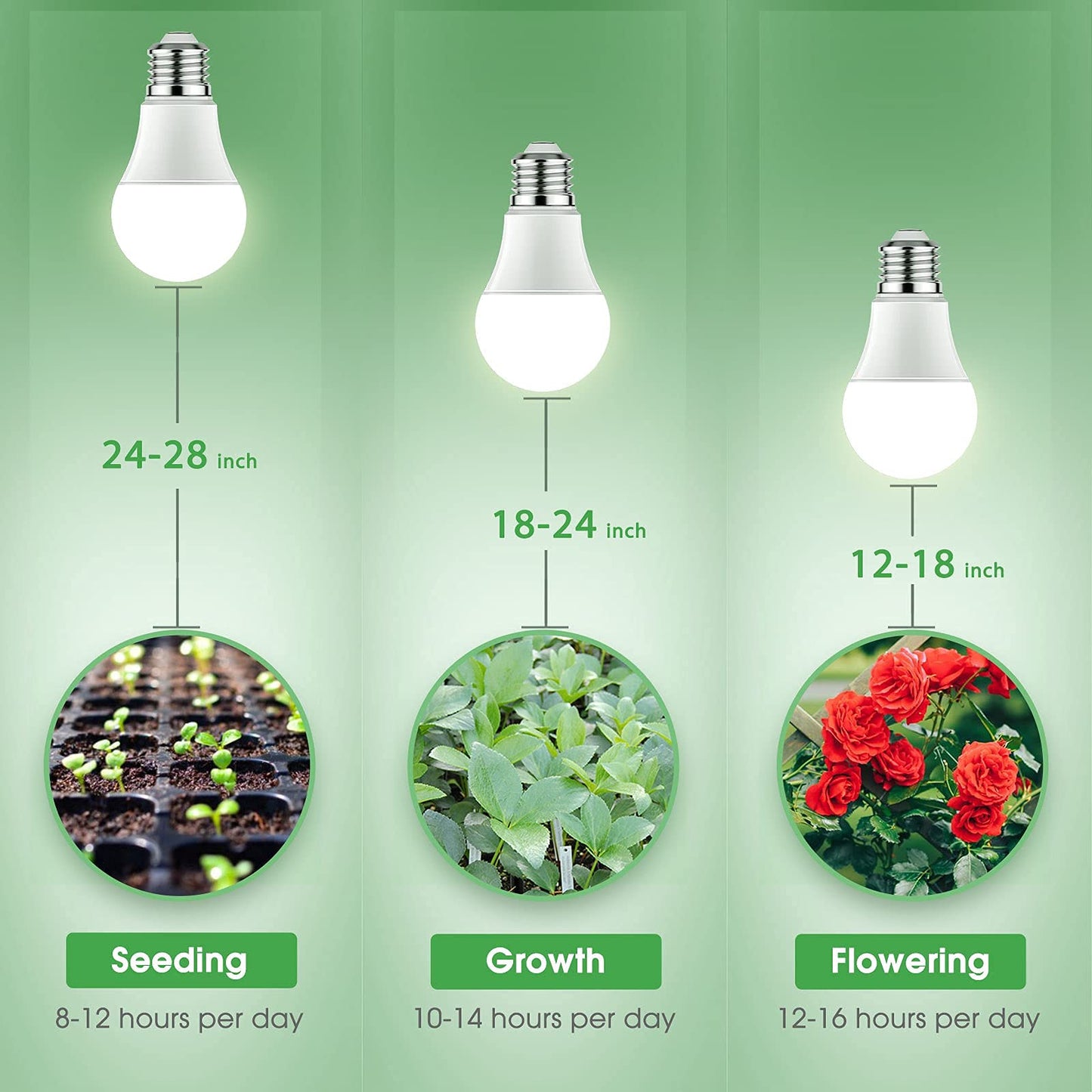 Briignite 4 Pack Grow Light Bulbs, LED Grow Light Bulb A19 Bulb, Full Spectrum Grow Light Bulb, Plant Light Bulbs E26 Base, 11W Grow Bulb 100W Equivalent, Grow Light for Indoor Plants, Seed Starting