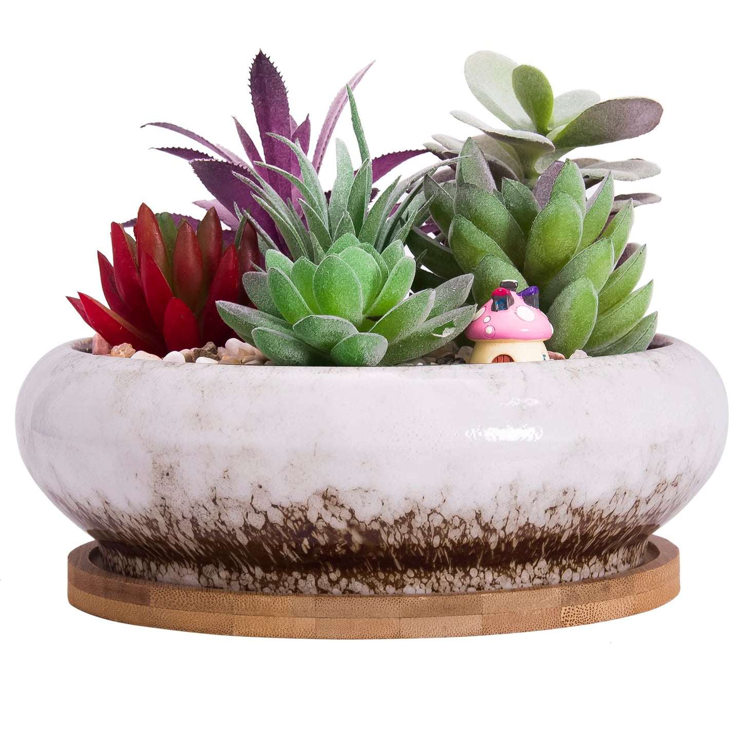 Succulent Pot - 7.3 Inch Succulent Planter with Drainage Hole Shallow Bonsai Pot with Tray, Large Ceramic Flower Pot Garden Decorative Cactus Plant Container Bowl