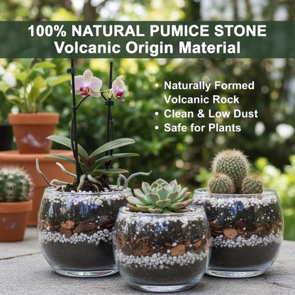 Premium Fine Pumice for Plants – Ideal for Succulent, Bonsai, Cactus, Orchid & Indoor Plant Soil – Natural Aeration & Drainage, Reusable Pumice Stone Mix (2L)