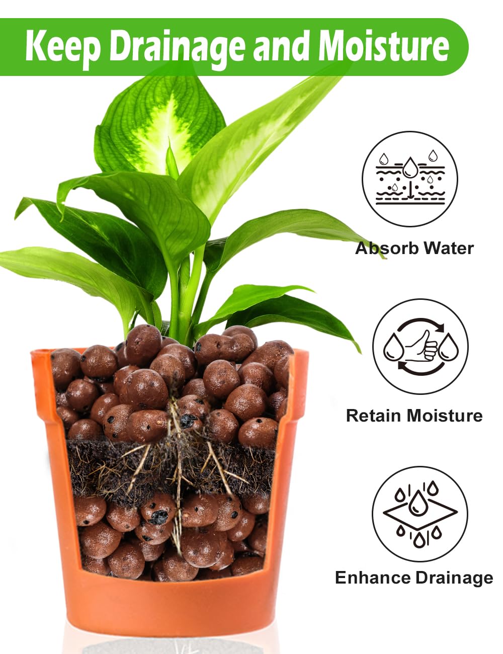 4qt Hydroponic Clay Pebbles, 3 lbs, 8mm-12mm, Toypopor Natural Organic Expanded Grow Media for Hydroponics, Drainage, Decoration, Aquaponics and Other Gardening Essentials