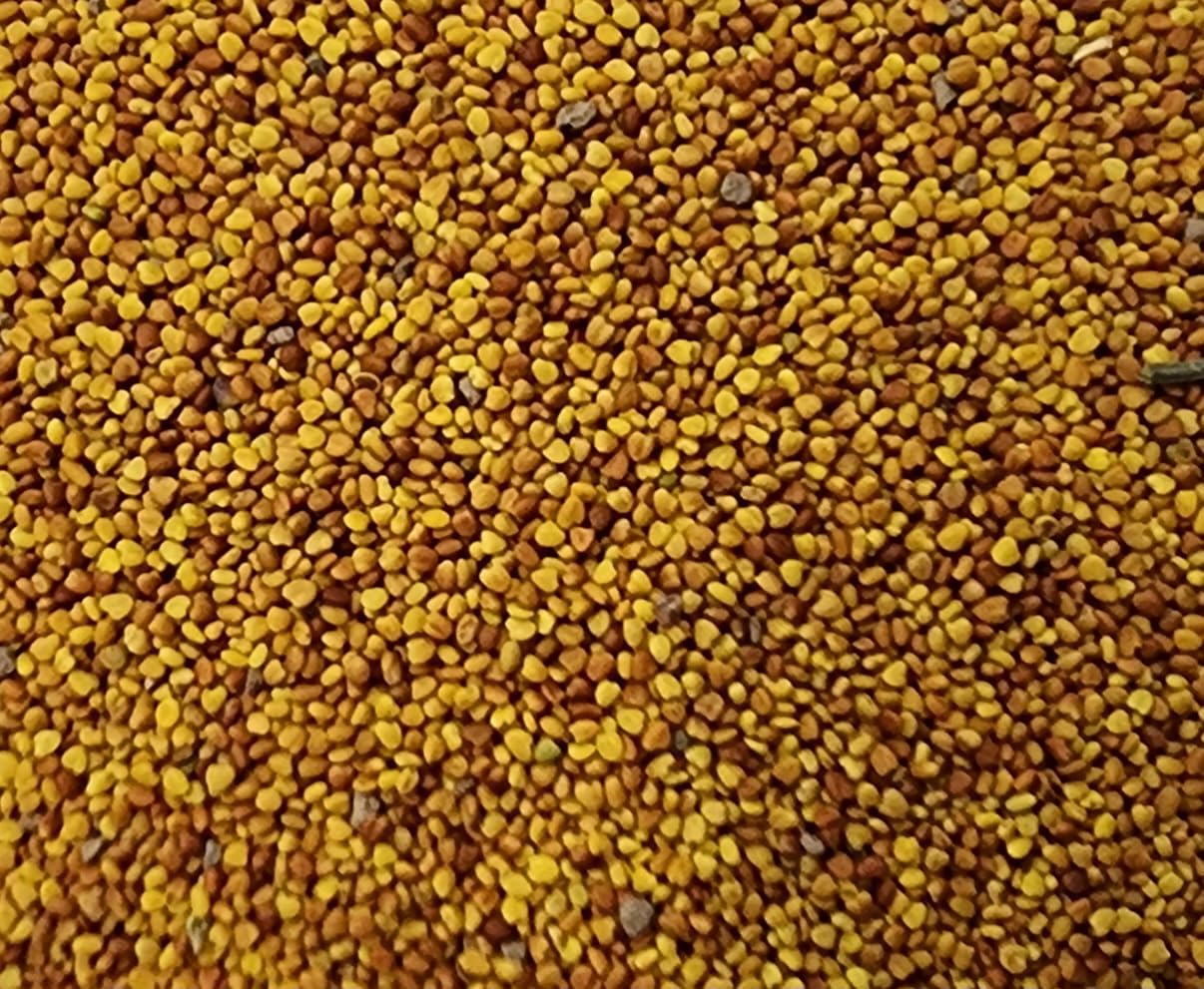1 Pound Dutch Lawn White Clover Seed - White Clover Seeds for Lawn Canada (450 g)