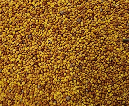 1 Pound Dutch Lawn White Clover Seed - White Clover Seeds for Lawn Canada (450 g)