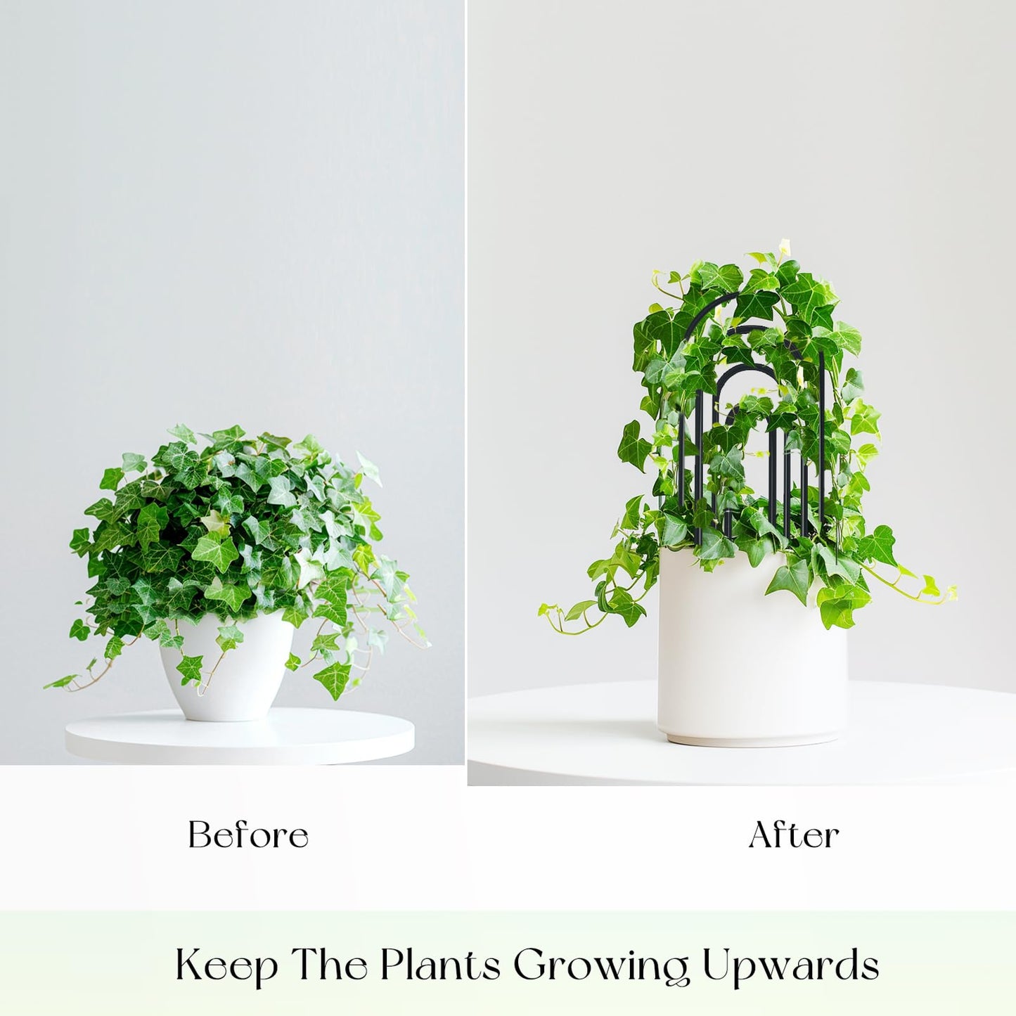 SNAIL GARDEN 8 Pcs Small Trellis for Indoor Plants with 100Pcs Green Cable Zip Ties,4 Sizes Indoor Plant Trellis for Climbing Plants, U-Shaped House Plant Trellis for Potted Plants Hoya Ivy, Jasmine