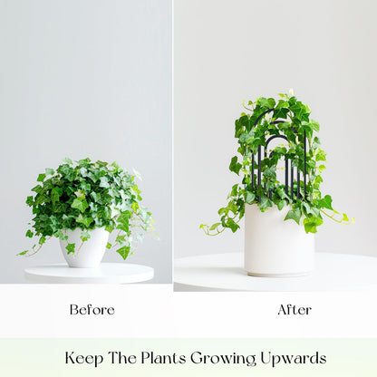 SNAIL GARDEN 8 Pcs Small Trellis for Indoor Plants with 100Pcs Green Cable Zip Ties,4 Sizes Indoor Plant Trellis for Climbing Plants, U-Shaped House Plant Trellis for Potted Plants Hoya Ivy, Jasmine