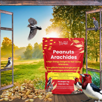 Chirp & Maple, Premium No Shell Peanuts for Wild Birds - Unsalted Raw Kernels, High Protein Wild Bird Food Attracts Blue Jays & Woodpeckers, 1KG Bag