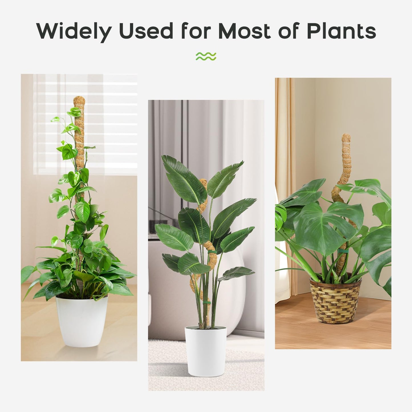 SYCARON Moss Pole, 2Pcs 48 Inches Moss Pole Plant Support Monstera, Coco Coir Plant Support Stakes for Medium/Large Climbing Plants, Indoor/Outdoor Plants Growth