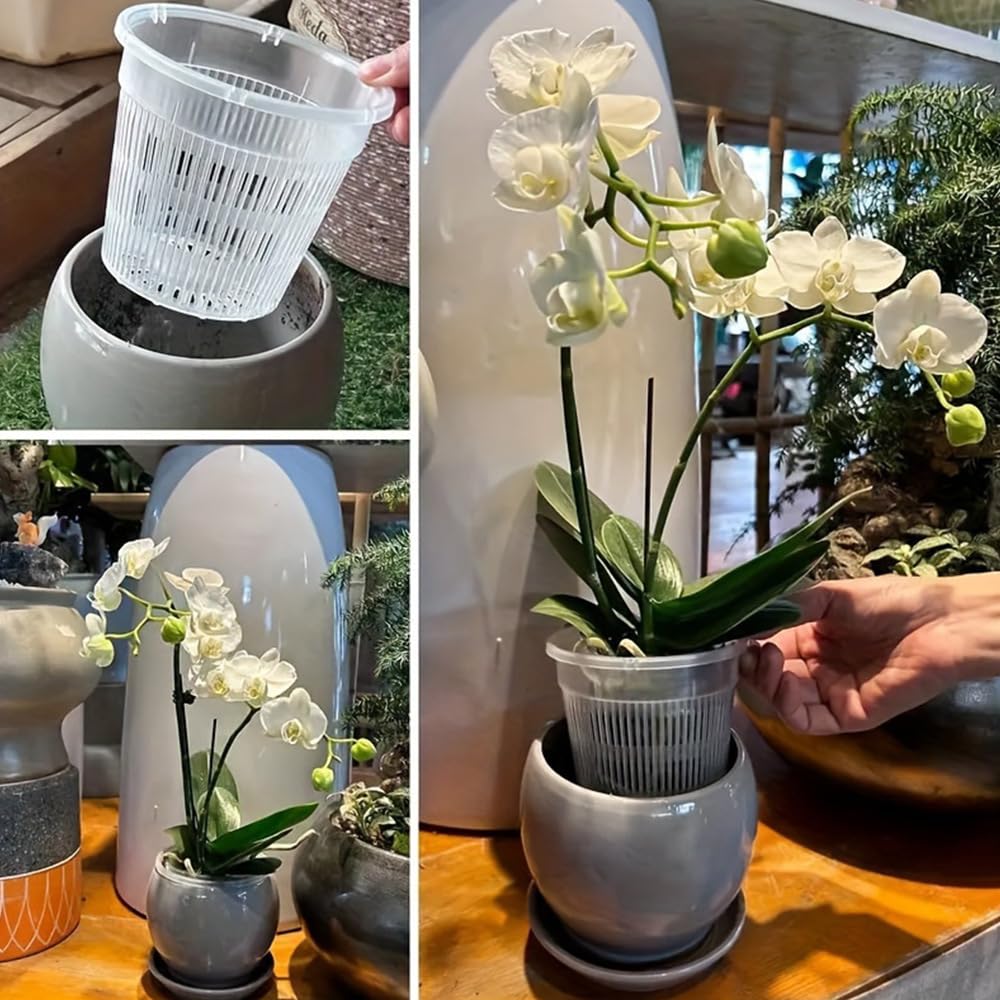 6 Pcs 5.5 Inch Orchid Pot with Holes and Saucers for Repotting Clear Plastic Flower Plant Indoor Outdoor Plants Orchids Planter Root Health Pots Nursery Drainage (6, 14 * 12cm)