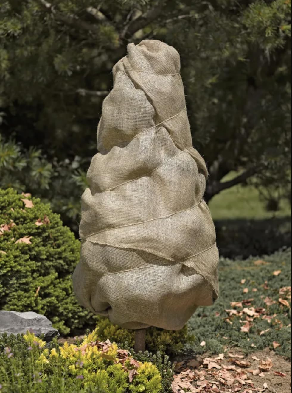 VERDYOL Burlap Fabric 6'x5' | Versatile Burlap Fabric Roll for Plant Cover | Burlap Placemats, Tree Wrap, Sackcloth Projects | Premium Burlap