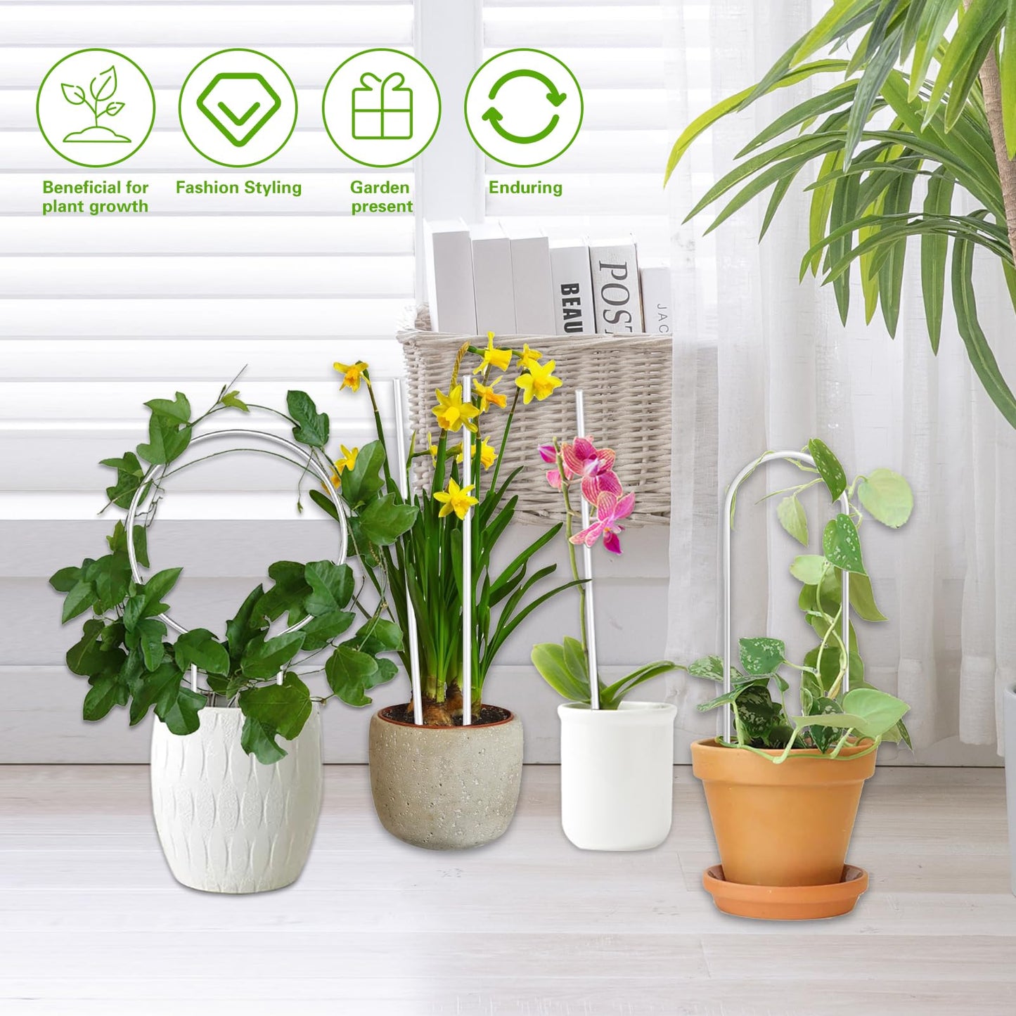 Tefola 8 Pack Clear Acrylic Plant Trellis Indoor, Lightweight Reusable Trellis for Climbing Plants for House Flower Hoya Pothos Vine Lvy, Indoor & Outdoor Use with Easy Setup