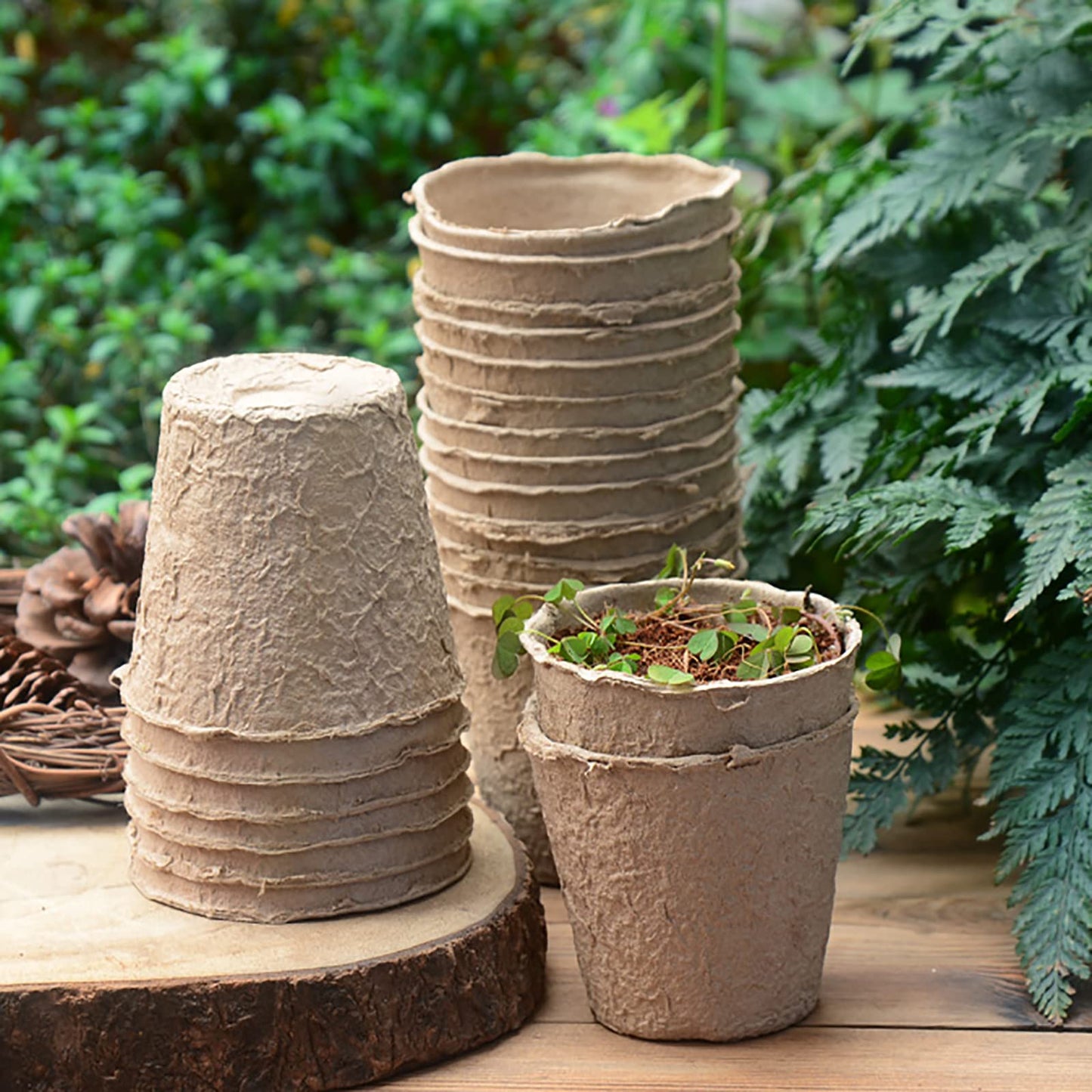 Cedilis 100 Pack 4 inch Peat Pots, Biodegradable Plant Starter Pots with Plant Labels, Germination Station Starter Cups, Disposable Plant Pots for Seedlings, Flowers, Vegetables Seeds