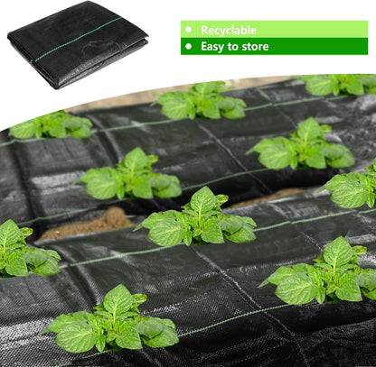 codree 32 x 3.2 Ft Garden Weed Barrier Landscape Fabric with Planting Holes- Heavy-Duty Garden Weed Control Barrier- Weed Block Gardening Mat with 8 Ground Nail for Outdoor Garden