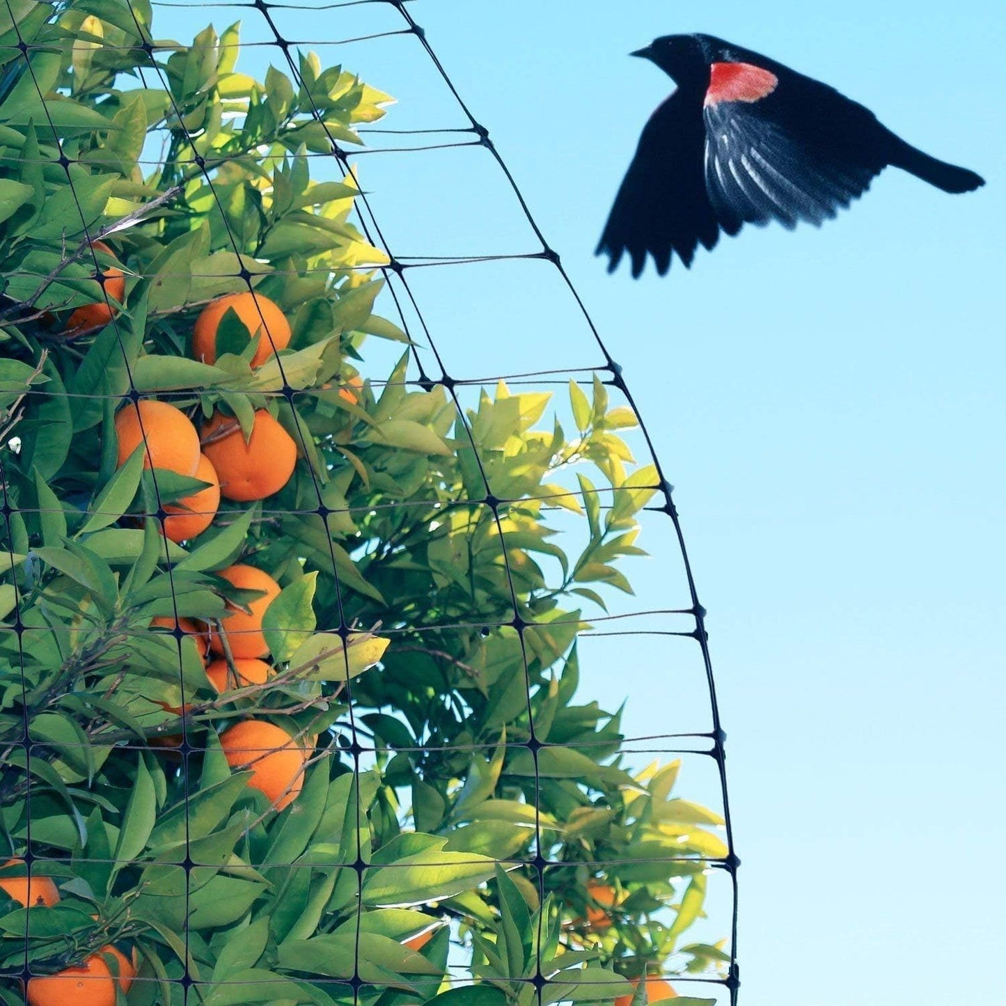 Bird Net Netting Protect Plants Fruit Trees Wire Mesh Protection Against for Birds, Deer Other Pests Reusable Fencing 7 feet x 100 feet