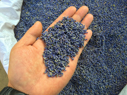 TooGet Fragrant Lavender Buds Organic Dried Flowers Wholesale, Ultra Blue Grade - 450g