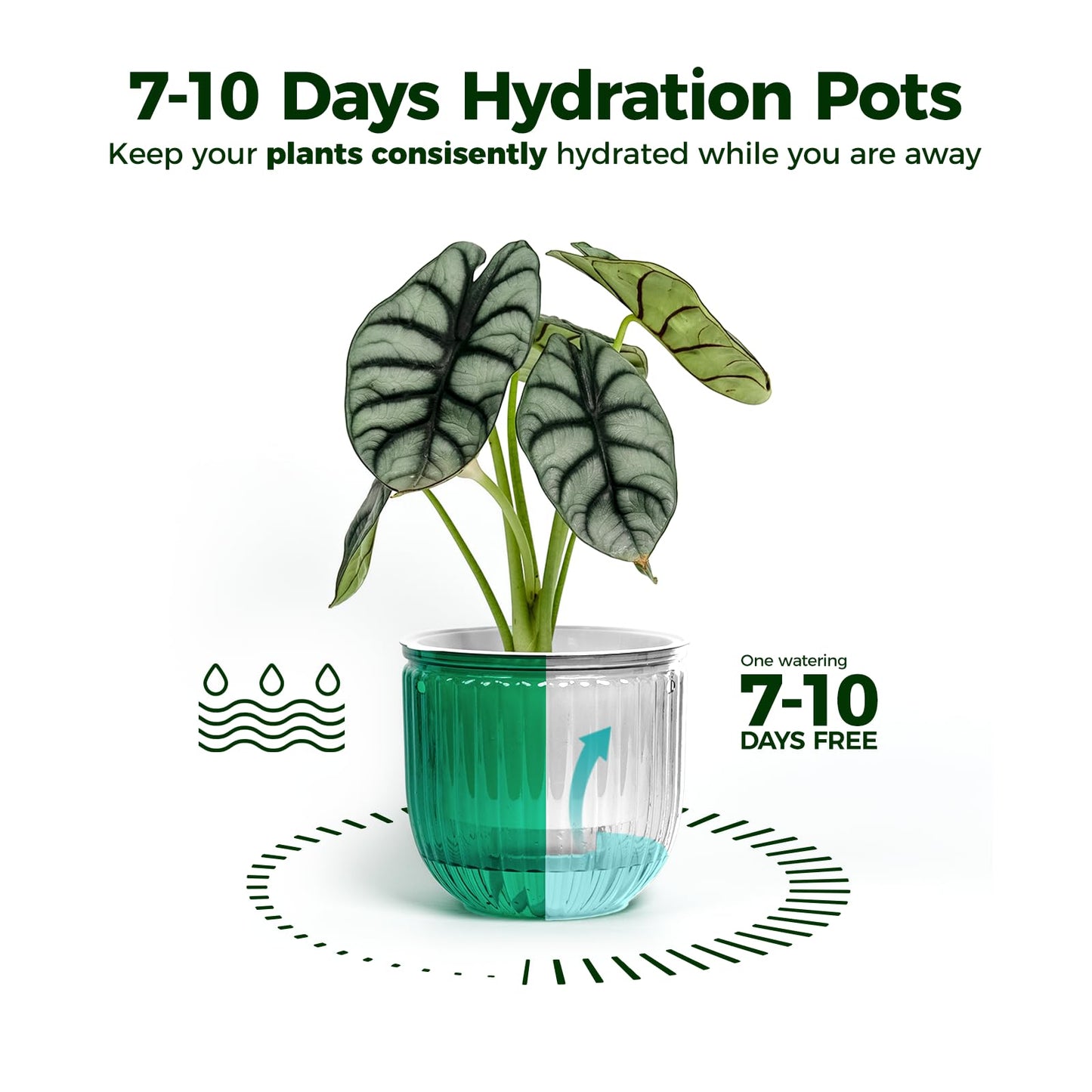 Bamworld Hanging Planters for Indoor Plants Self Watering Pots with Drainage Hole 3 Pack 6.5 Inch Outdoor Plant Hanger Hanging Pots with 3 Hooks Chains Spider Plants Live House Planters(Emerald)