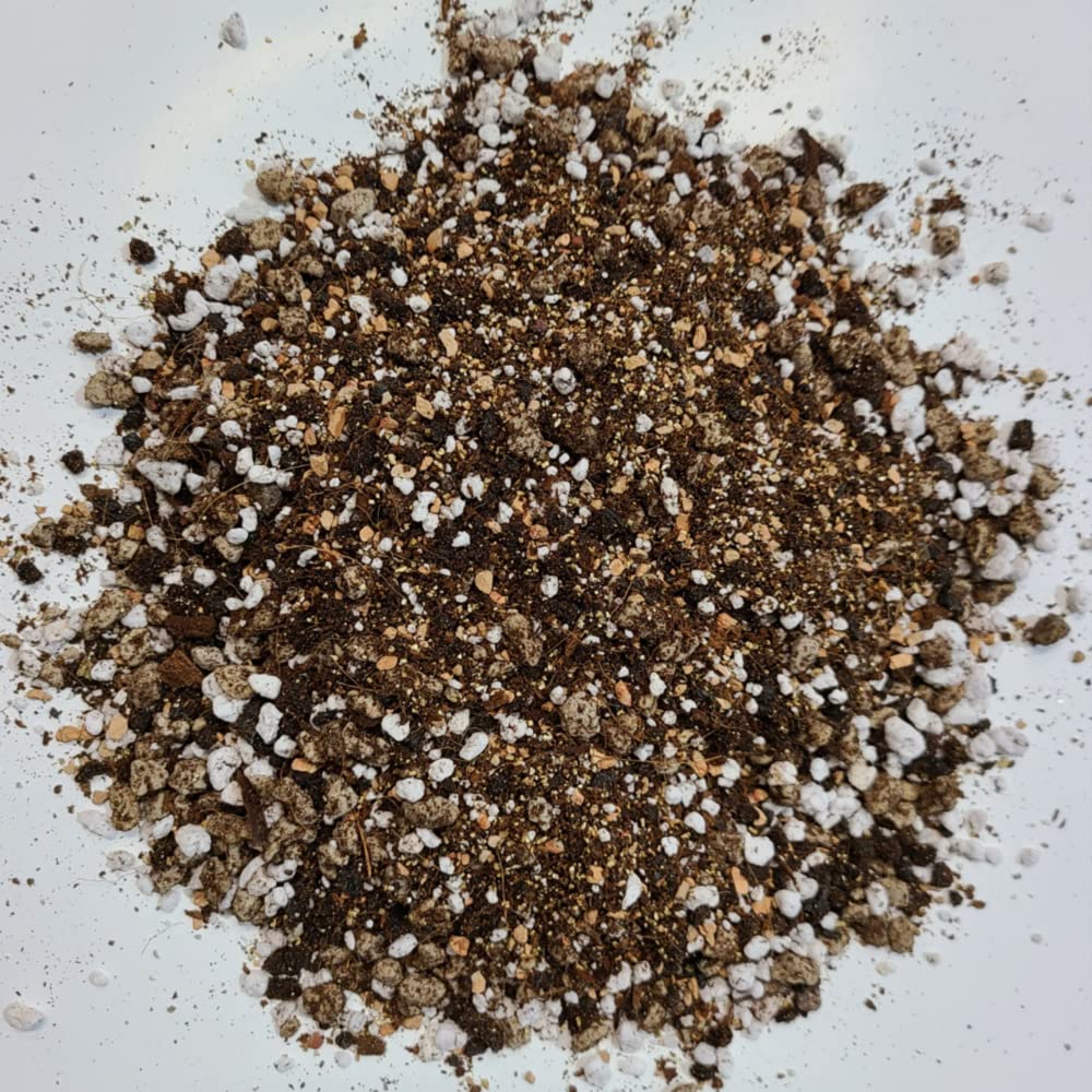 M.M BASICS Succulent Soil Mix/Cactus Soil, Mixed with Volcanic Pumice, Coarse Perlite, Calcined Clay, Black Lava Rocks, Fine Vermiculite and Coco Coir, Well-Draining and Healthy Roots, (2.5 litres)