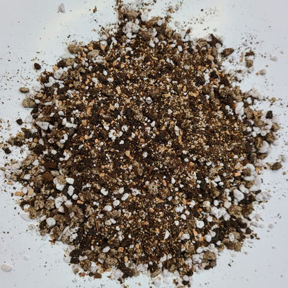 M.M BASICS Succulent Soil Mix/Cactus Soil, Mixed with Volcanic Pumice, Coarse Perlite, Calcined Clay, Black Lava Rocks, Fine Vermiculite and Coco Coir, Well-Draining and Healthy Roots, (2.5 litres)