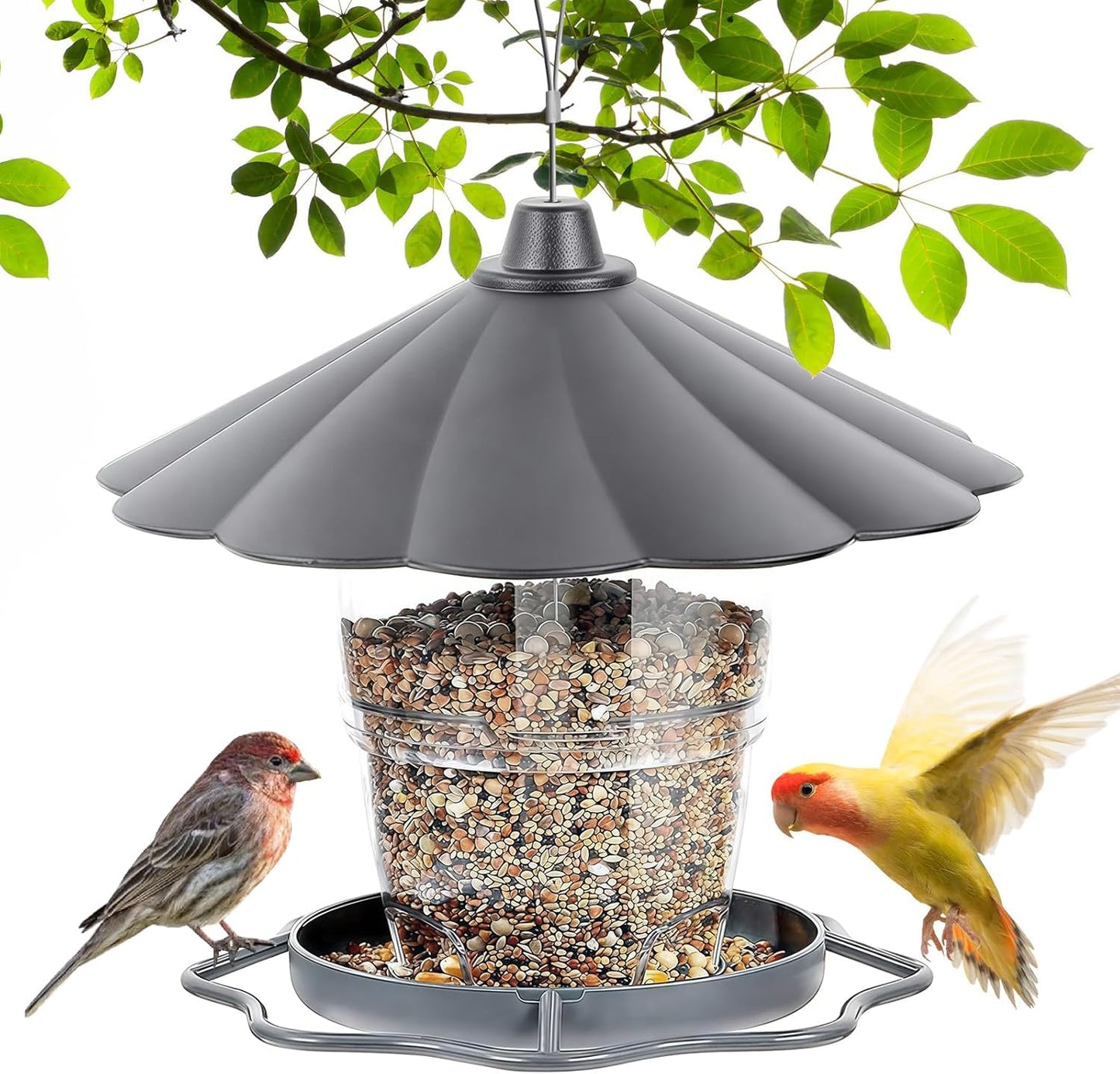Bird Feeders for Outdoors, Hanging Bird Feeder, Transparent Feeding Station for All Year Rooms, Grey