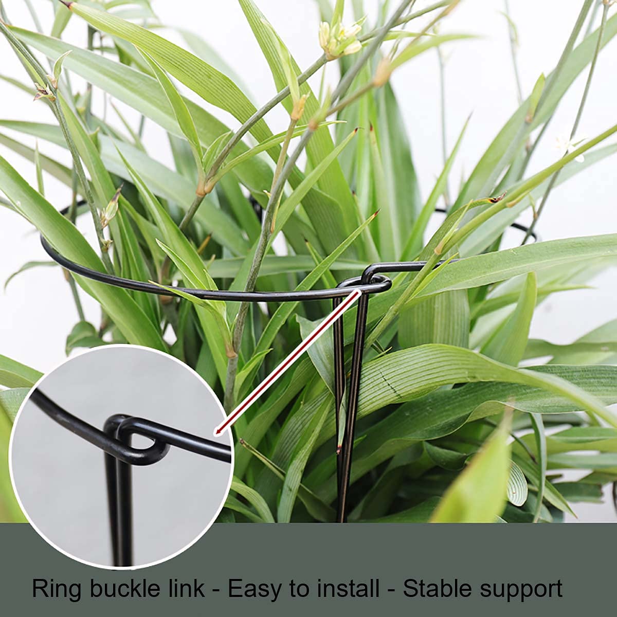 8 Pack Plant Support Stakes, Metal Interlinking Plant Stake for Garden, Plant Cages & Supports for Peony, Tomato, Hydrangea, Indoor Plants (9.8" W x 15.7" H)