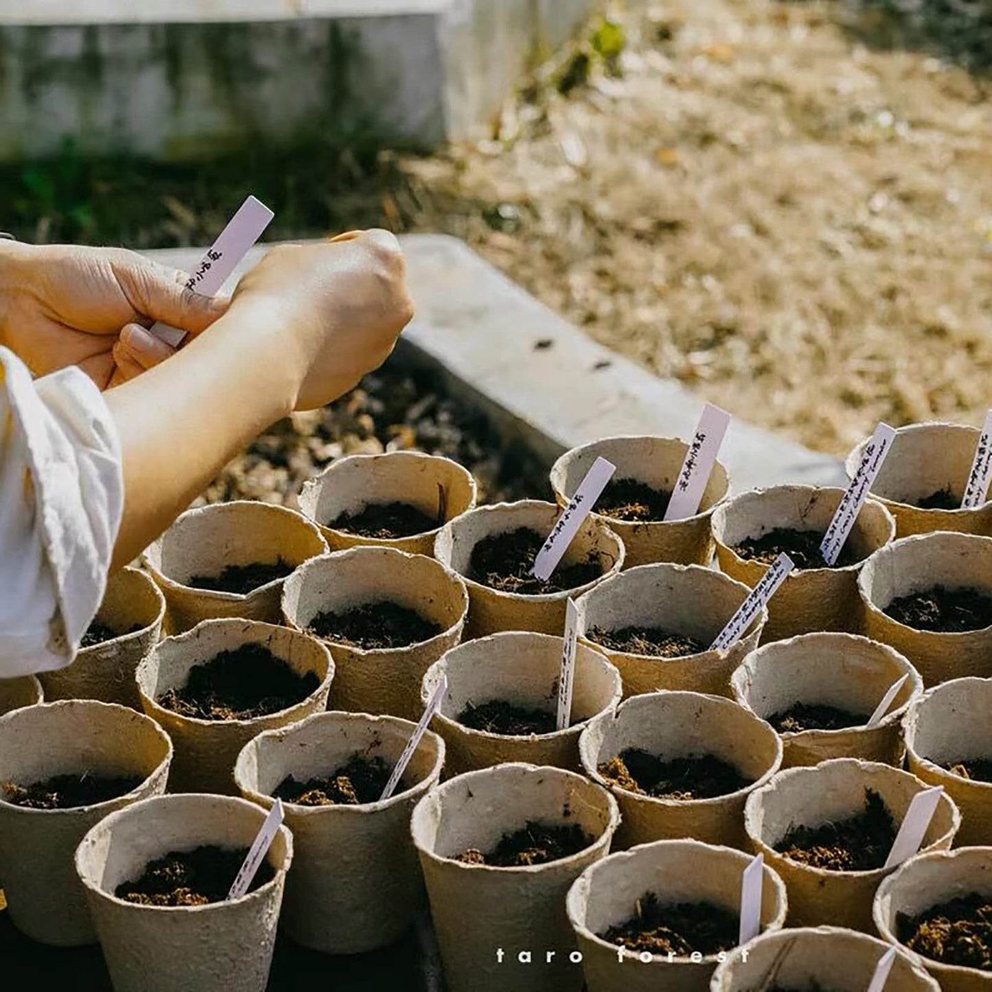 Cedilis 100 Pack 4 inch Peat Pots, Biodegradable Plant Starter Pots with Plant Labels, Germination Station Starter Cups, Disposable Plant Pots for Seedlings, Flowers, Vegetables Seeds
