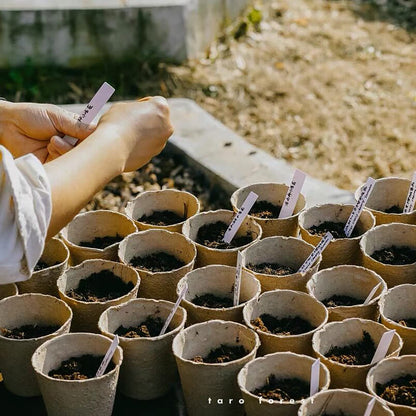Cedilis 100 Pack 4 inch Peat Pots, Biodegradable Plant Starter Pots with Plant Labels, Germination Station Starter Cups, Disposable Plant Pots for Seedlings, Flowers, Vegetables Seeds