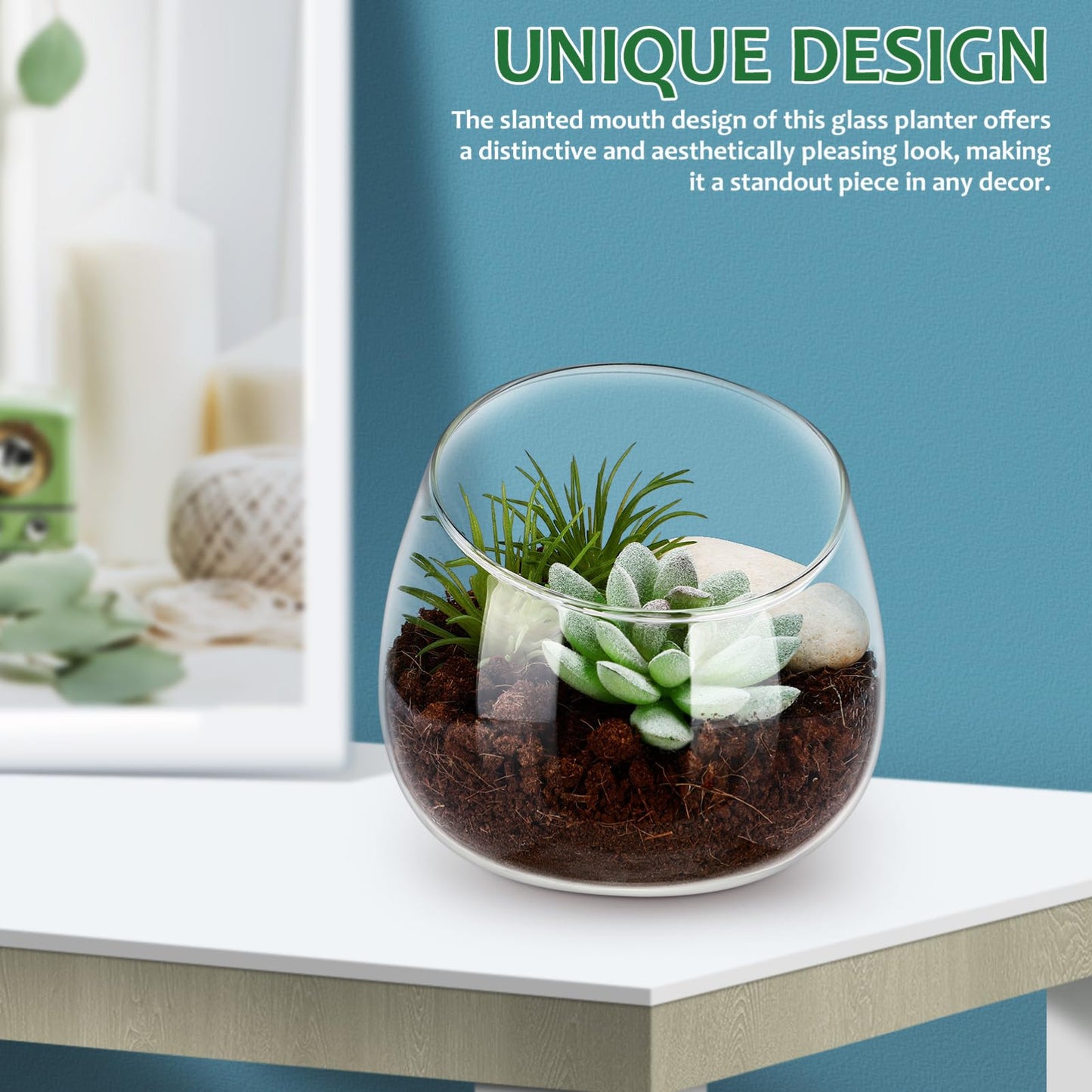 Toddmomy Slanted Mouth Glass Vase Plant Terrarium 1.86 Inch Transparent Planter for Indoor Succulents Moss Small Decorative Bowl Vase for Home Office Garden