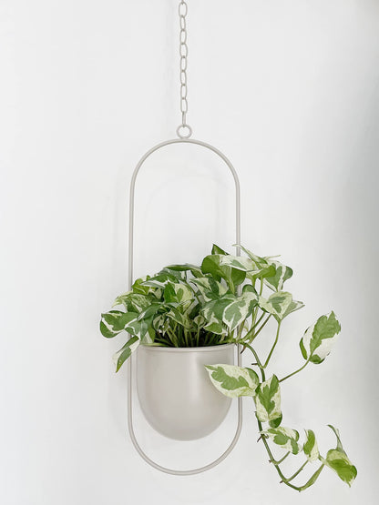 RISEON Boho Beige Metal Plant Hanger,Metal Wall and Ceiling Hanging Planter, Modern Planter, Mid Century Flower Pot Plant Holder, Minimalist Planter for Indoor Outdoor Home Decor