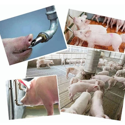 10 Pcs Stainless Steel Nipple Waterer, Automatic Poultry Waterers for Cattle Horses Pigs Sows Dogs Prevent Leakage Poultry Watering Drinker Nipple