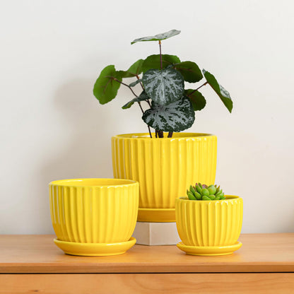 Ceramic Flower Pots Set of 3, 4+5+6 inch Plant Pots for Indoor Plants Ceramic Plant Pots with Tray,Medium Indoor Planters for Aloe Cactus Decorative Pots with Drainage Hole