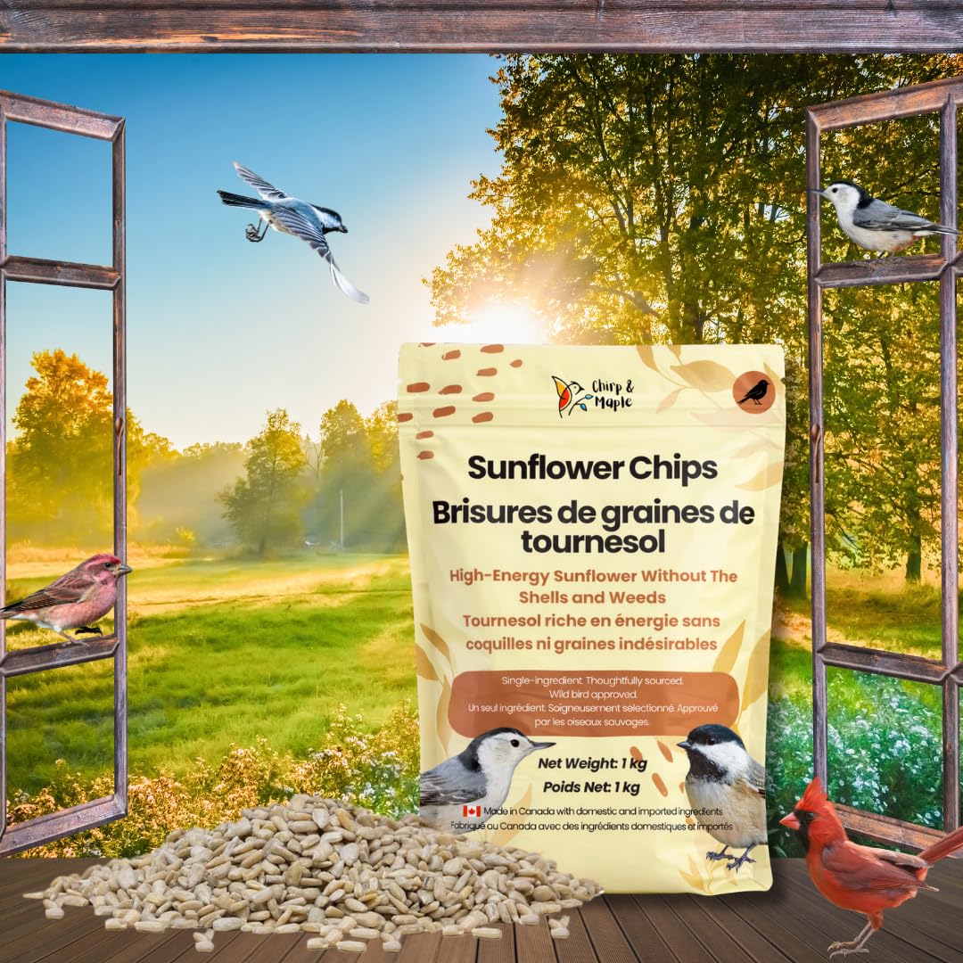 Chirp & Maple, Sunflower Chips, 1KG (2.2lb), Wild Bird Food, Cardinal & Finch Feed, No Mess