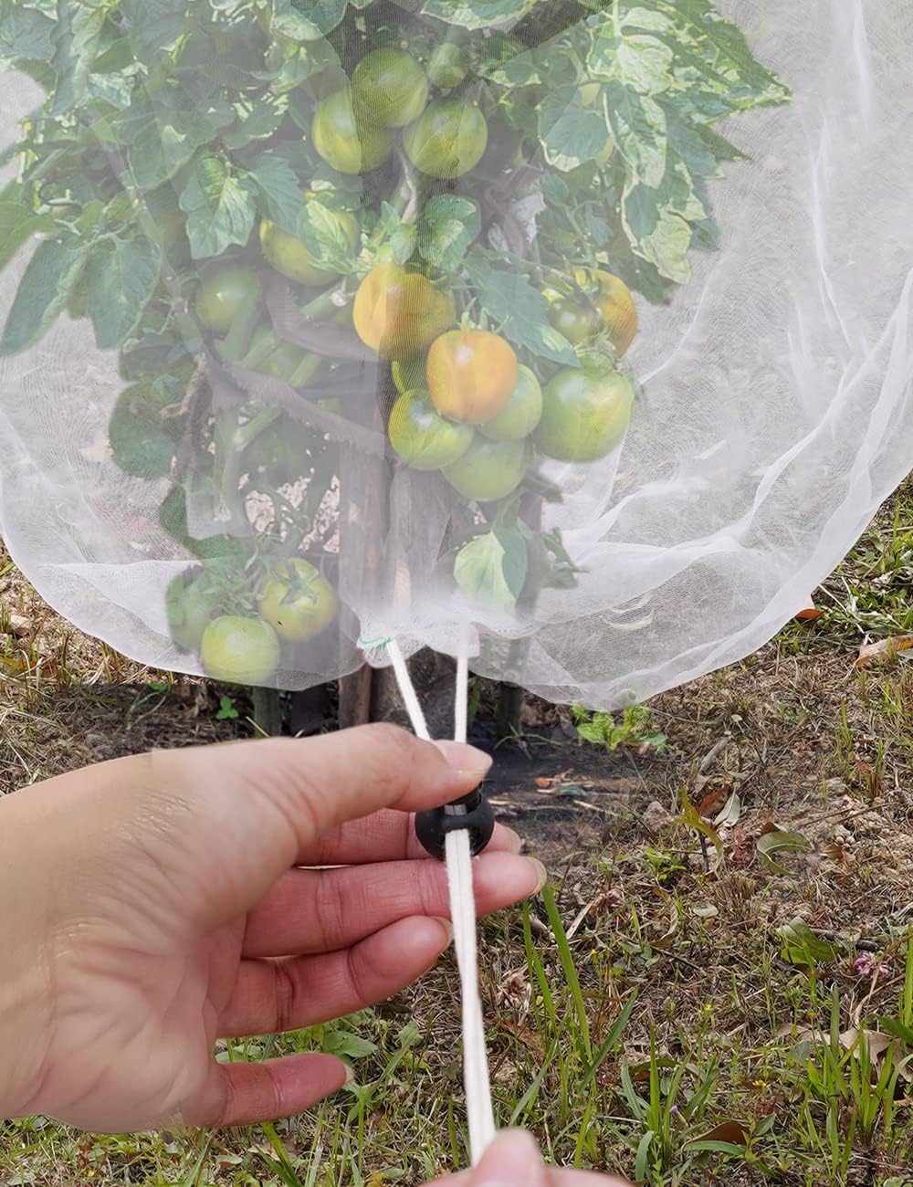 wohohoho 5 Packs Blueberry Bushes Netting Cover with Drawstring, 4.9Ft x 3.3Ft Garden Tree Netting Pest Barrier Tomato Protective Covers Prevent Fruits Plants from Squirrel Bird Insect Deer Animals