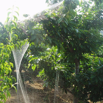 VASLON 33 x 16 Ft Anti Bird Net Reusable Nylon Anti Bird Mesh Netting Garden Bird Netting Protect Plants Fruit Trees Crops from Birds Rodents Deer Poultry