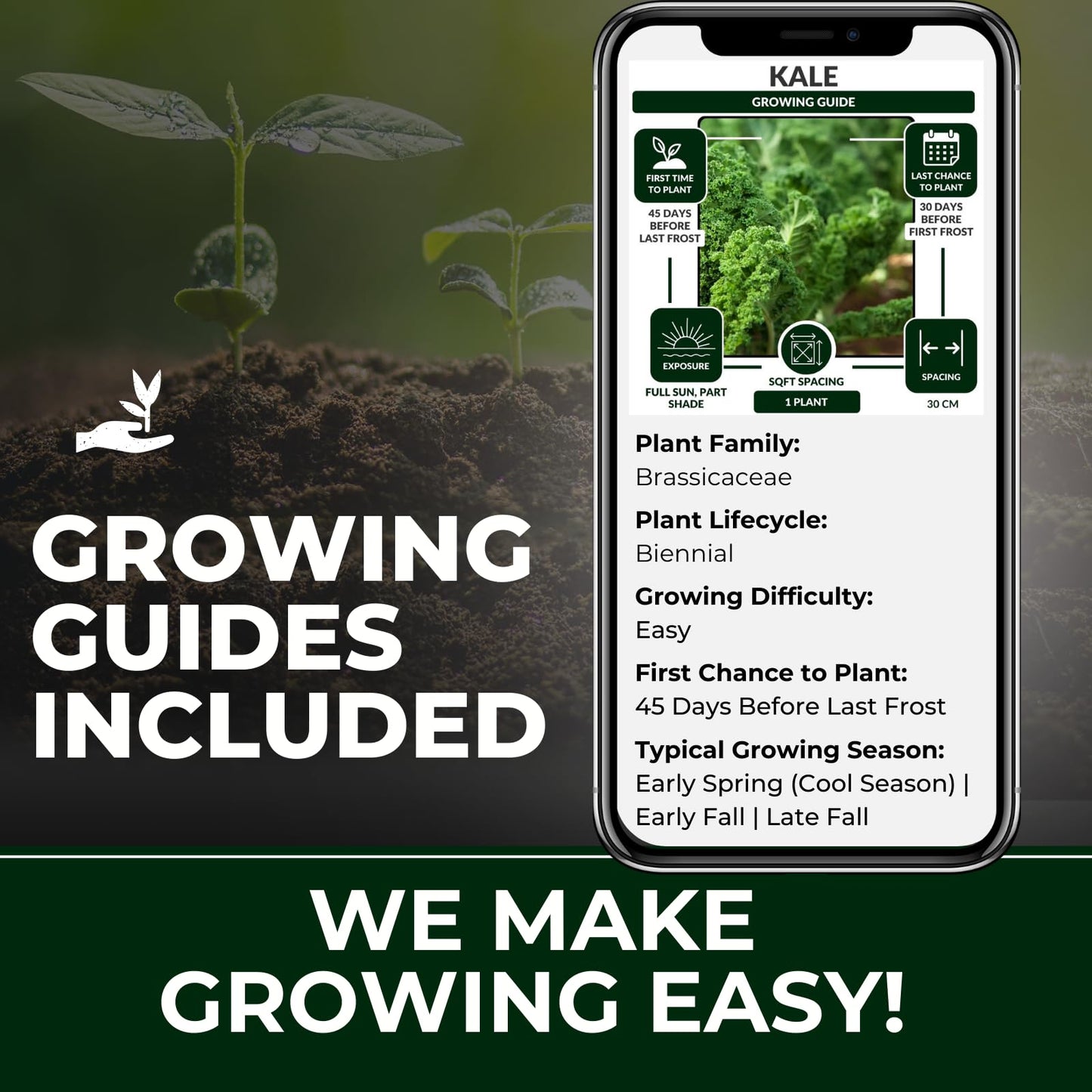 Brassica Varieties Seed Pack | 16 Varieties of Cool Weather Vegetable Seeds | Cabbage, Broccoli Seeds, & More, Easy to Grow for Canadian Gardens | Limitless Growth