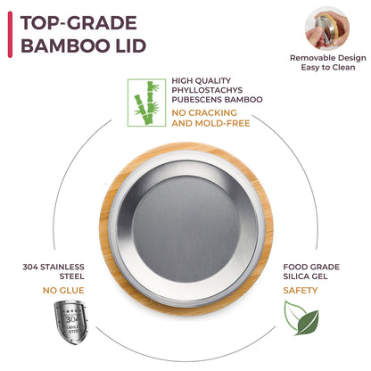 Dorsaer Glass Tea Mugs - Glass Tea Cup with Glass Infuser and Lid for Tea Steeping at Home and Office (16.9 oz)