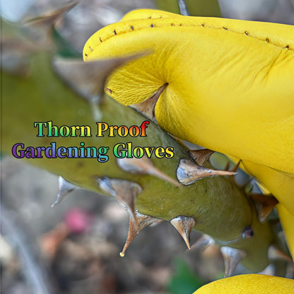 wfkwcxw Rose Bush Weeding Poison Ivy and Cactus Gloves for Adults, Long Garden Gloves Thorn Proof, Thoughtfully Paired with Rubber Gloves, Yellow, Large