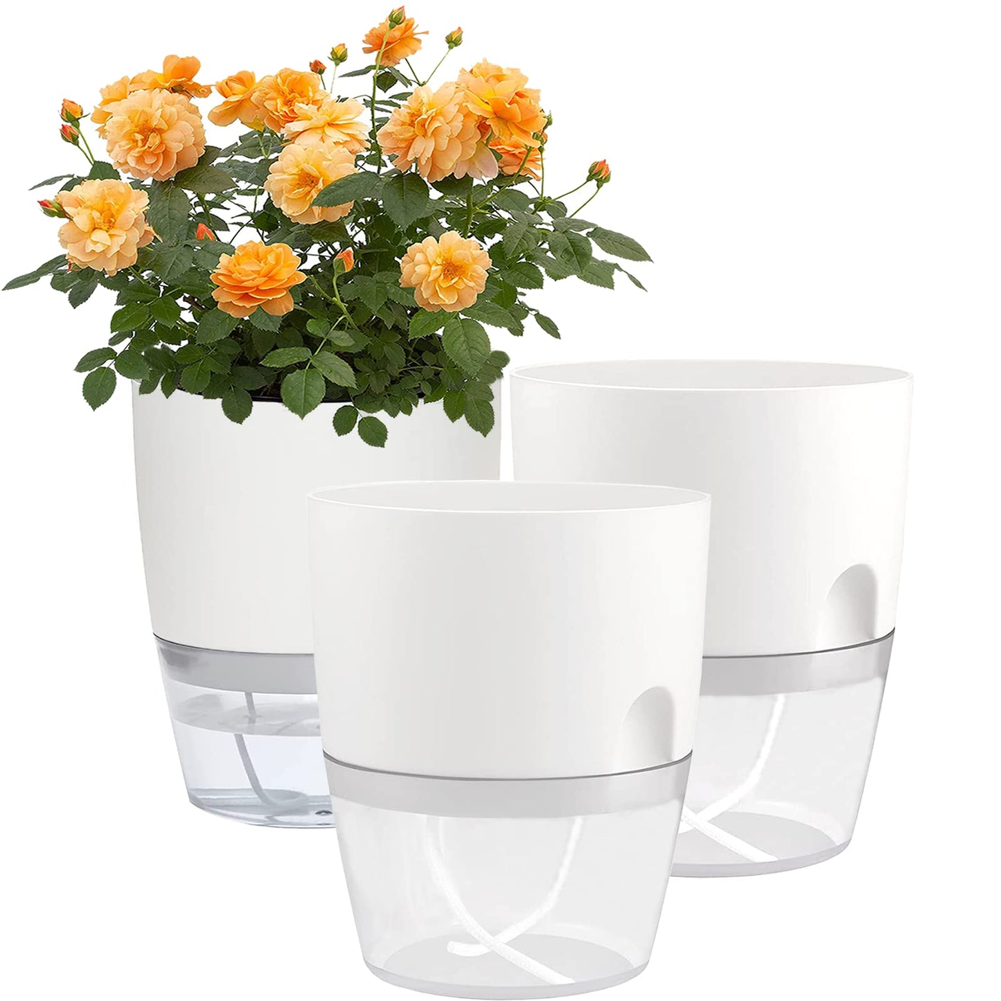 Self Watering Planters for Indoor Plants, 3 Pack 6 Inch African Violet Pots, Modern Decorative Flower Pots with Transparent Water Reservoir, Perfect for Indoor House Plants, Flowers (White)