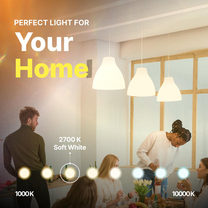 A19 Frosted Incandescent Rough Service Light Bulb, 60 Watt, Long Life - 3,000 Hours, 2700K Soft White, E26 Medium Base, 550 Lumens, 130V (12 Pack)