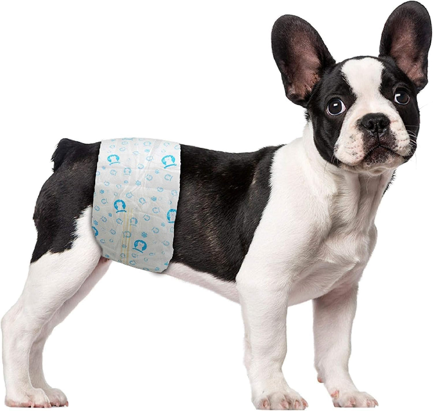 ScratchMe Disposable Male Dog Diaper, Super Absorbent and Leak-Proof Fit, Excitable Urination or Incontinence, 40 Count, Small, White