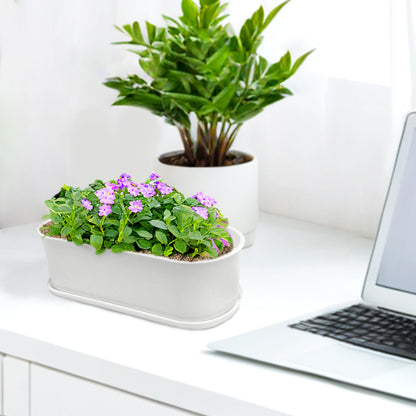 5 Set 8.5x3.5 Inch Plant pots, Rounded Rectangle planters with Multiple Drainage Holes and Trays, Window Box Planter for Indoor Windowsill, Balcony etc.
