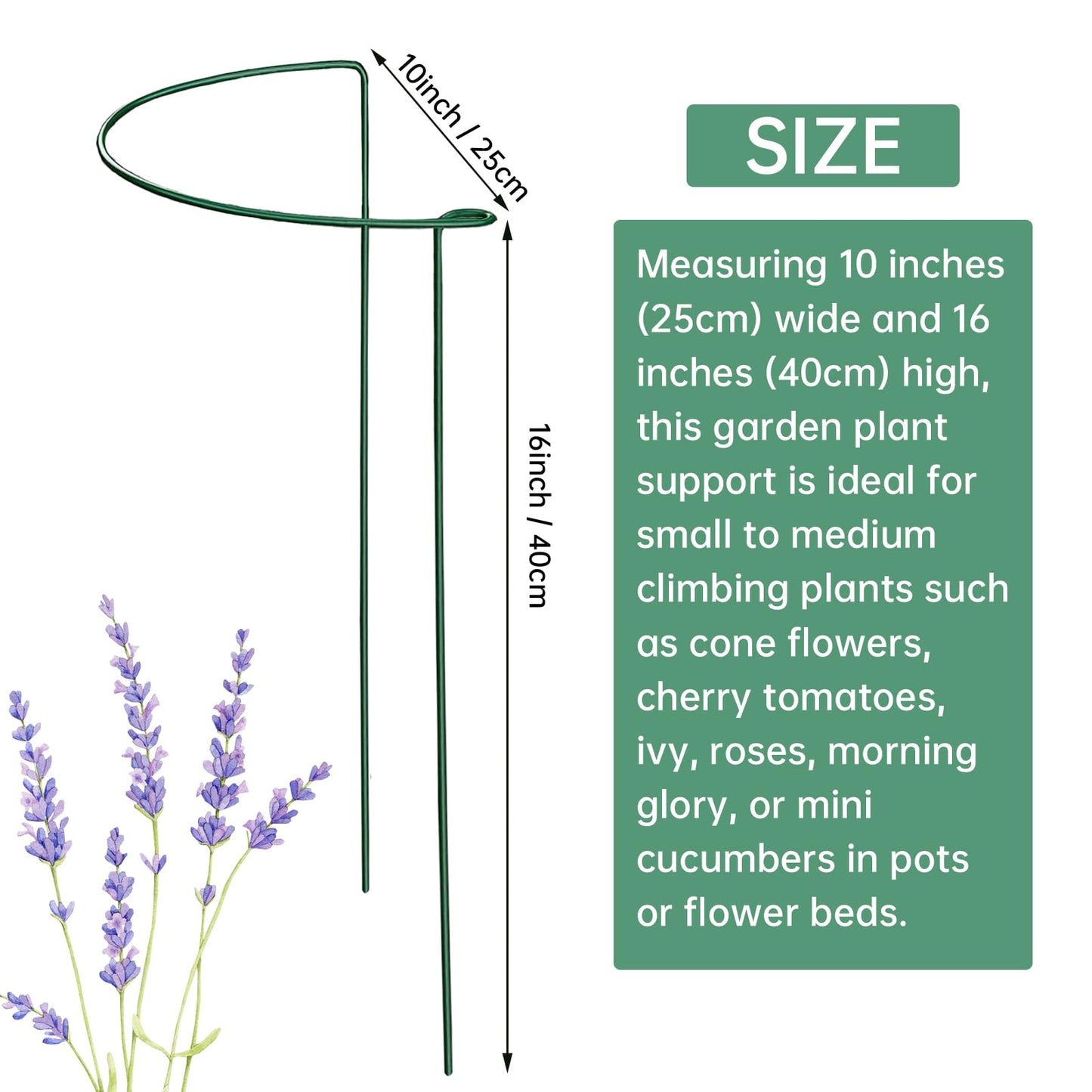 12 Pack Garden Plant Support Stakes Ring Cages with Garden Plant Ties, 10" Wide x 16" High Metal Half Round Plant Ring for Peonies, Hydrangea, Tomato, Rose