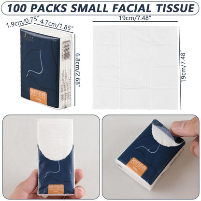 Sadstory 100 Pack Pocket Tissues Bulk, Small Facial Tissues, 4 Ply Mini Travel Size Paper, Soft and Unscented