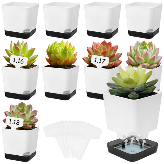 10 PCS 4 inch Small Plant Pots Nursery Pots with 10 Labes Plastic Seedling Pot for Indoor Outdoor Flowers Plants Decorative Succulent Flower Pots with Drainage Holes and Saucers for Office Home Garden