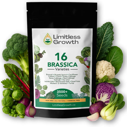 Brassica Varieties Seed Pack | 16 Varieties of Cool Weather Vegetable Seeds | Cabbage, Broccoli Seeds, & More, Easy to Grow for Canadian Gardens | Limitless Growth