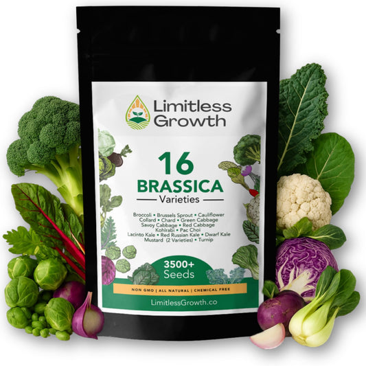 Brassica Varieties Seed Pack | 16 Varieties of Cool Weather Vegetable Seeds | Cabbage, Broccoli Seeds, & More, Easy to Grow for Canadian Gardens | Limitless Growth