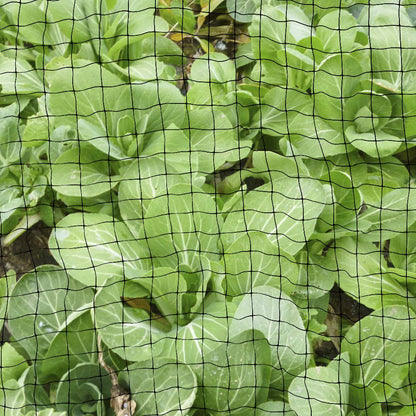 Bird Net Netting Protect Plants Fruit Trees Wire Mesh Protection Against for Birds, Deer Other Pests Reusable Fencing 7 feet x 100 feet
