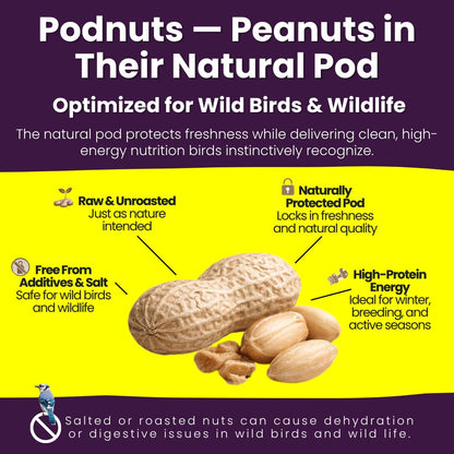Chirp & Maple, Unsalted Peanuts in Shell for Wild Birds and Wildlife, Raw Unroasted, Podnuts - Wild Bird Food 1.3KG Bag