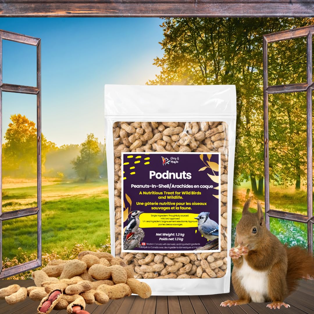 Chirp & Maple, Unsalted Peanuts in Shell for Wild Birds and Wildlife, Raw Unroasted, Podnuts - Wild Bird Food 1.3KG Bag