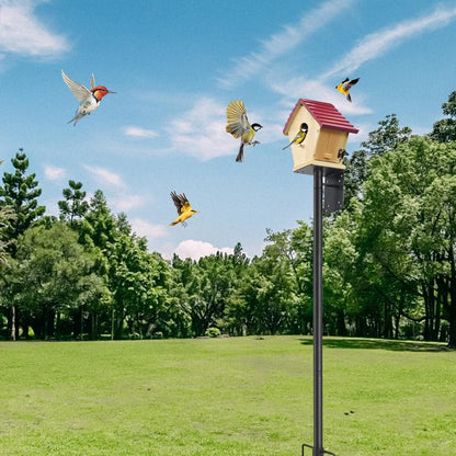 74 Inch Bird House Pole Heavy Duty Feeder Mount Kit for Outdoor 5-Prong Base Splicing Adjustable Feeding Stand Station Watching Weather Squirrel Proof Poles Bird House Not Included (Black, 74 inch)