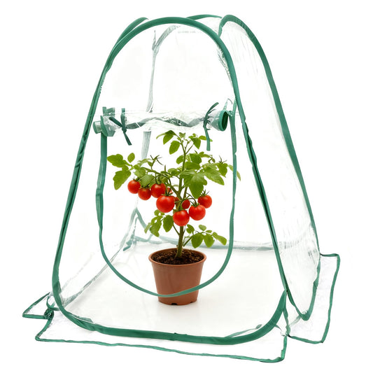 Storystore Mini Greenhouse, 27.5" x 27.5" x 31.5" PVC Pop Up Greenhouse with Nails, Small Green House Clear Portable Gardening Flower Plant Grow Tent for Outdoor Indoor