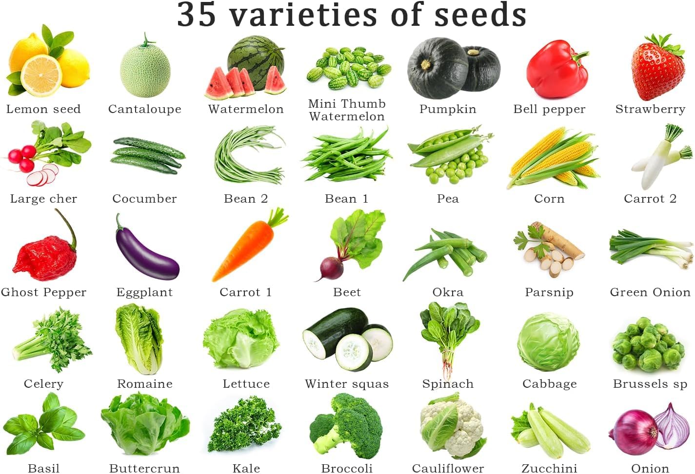 Vegetable Seeds Pack & Fruit Seeds 35 Varieties Individually Packed with Vegetables 10 Free Plant Markers Vegetable Seeds for Planting Indoor and Outdoors Gardening