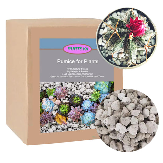 Pierre Ponice Naturelle Pour Plantes – Substrat Drainant Pour Succulentes, Cactus, Bonsaïs et Orchidées | Améliore l'Aération du Sol, Rétention D'eau 55%, pH Neutre (Sac 5 QT)